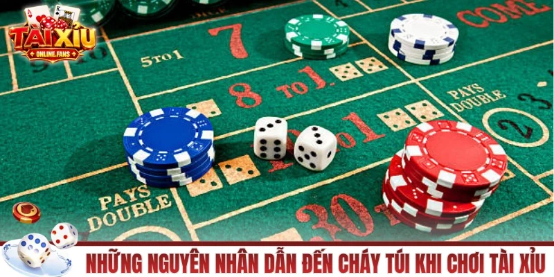 Những nguyên nhân dẫn đến cháy túi khi chơi tài xỉu